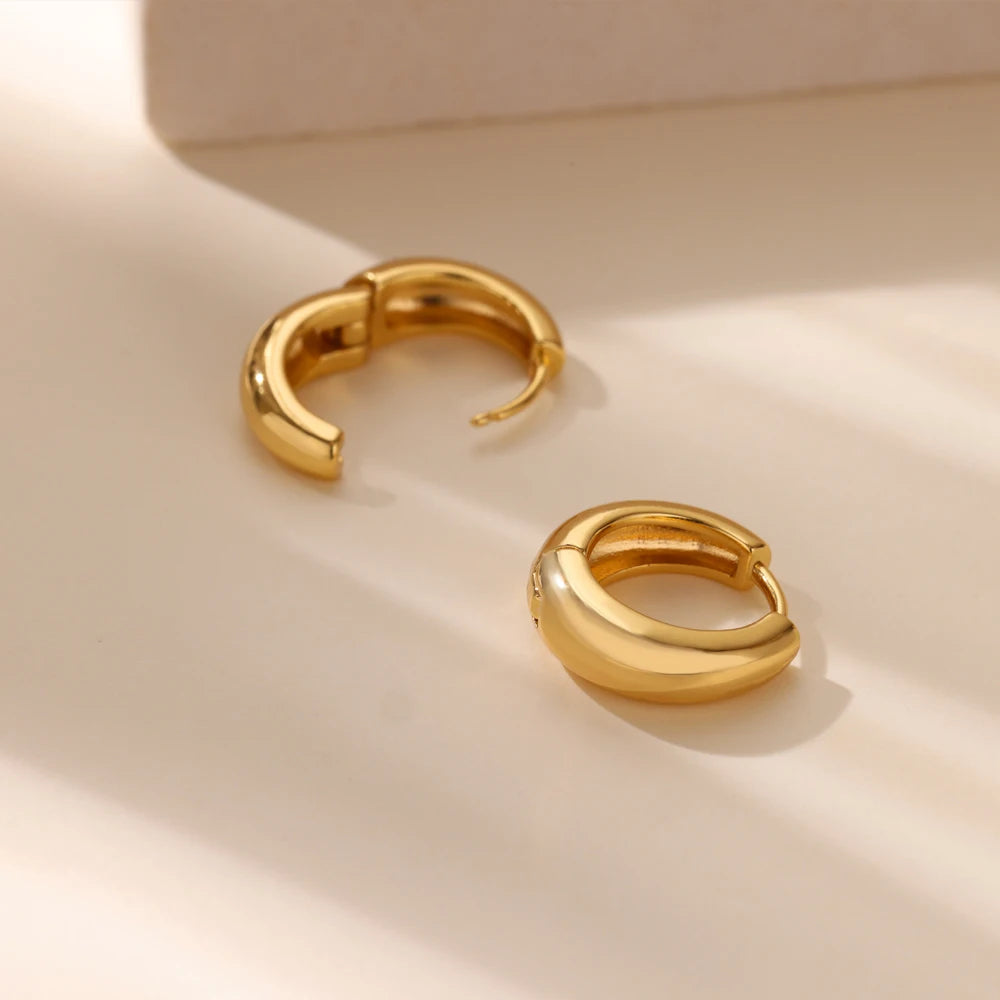 Classic Hoop Earrings for Women Girls Gold Color Chunky Stainless Steel Earrings 2026 Trend New in Minimalist Ear Jewelry aretes