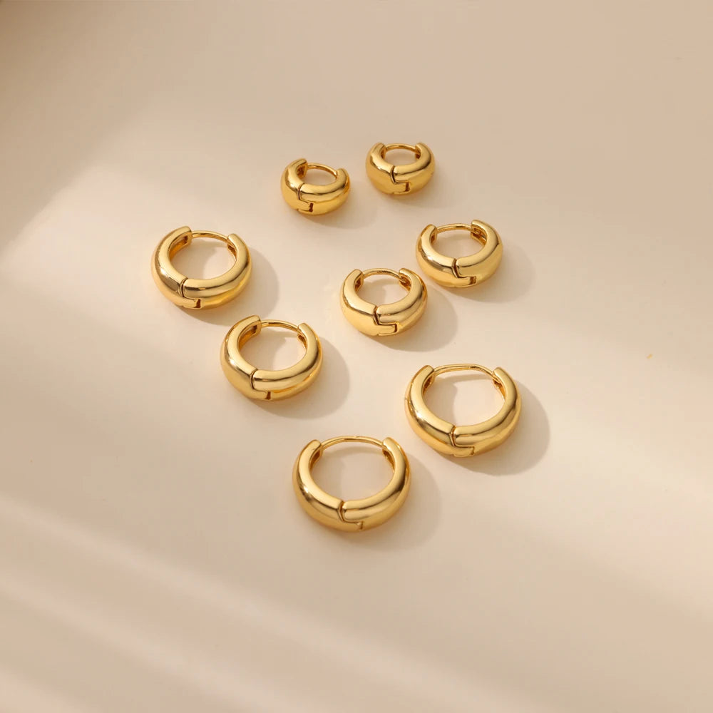 Classic Hoop Earrings for Women Girls Gold Color Chunky Stainless Steel Earrings 2026 Trend New in Minimalist Ear Jewelry aretes